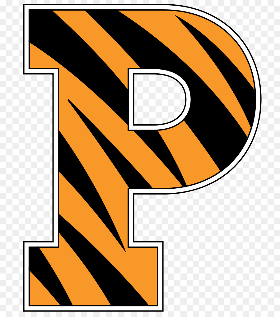 L Université De Princeton，Princeton Tigers De Basket Ball Masculin PNG