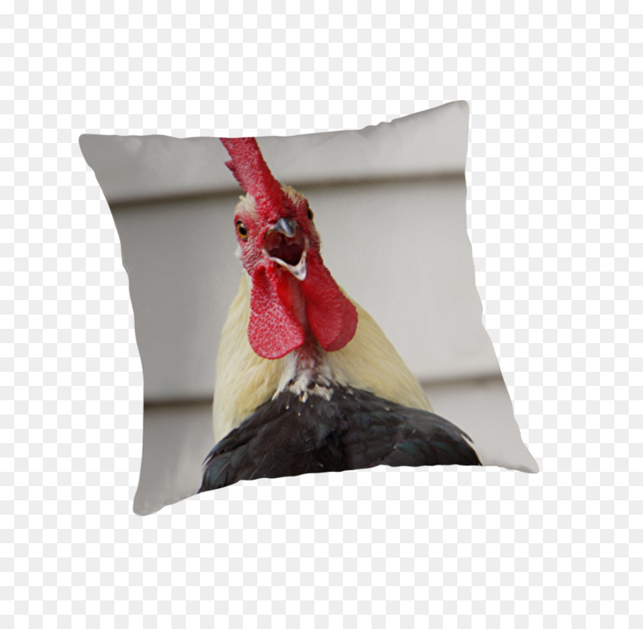 Coussin，Lancer Des Oreillers PNG