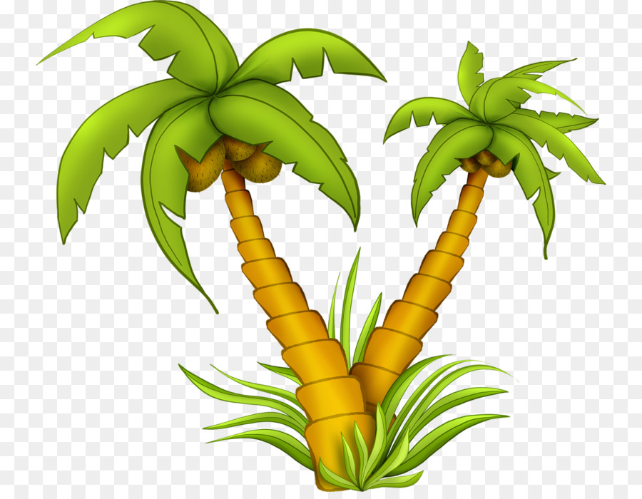 La Noix De Coco Arbre Dessin Png La Noix De Coco Arbre Dessin Transparentes Png Gratuit