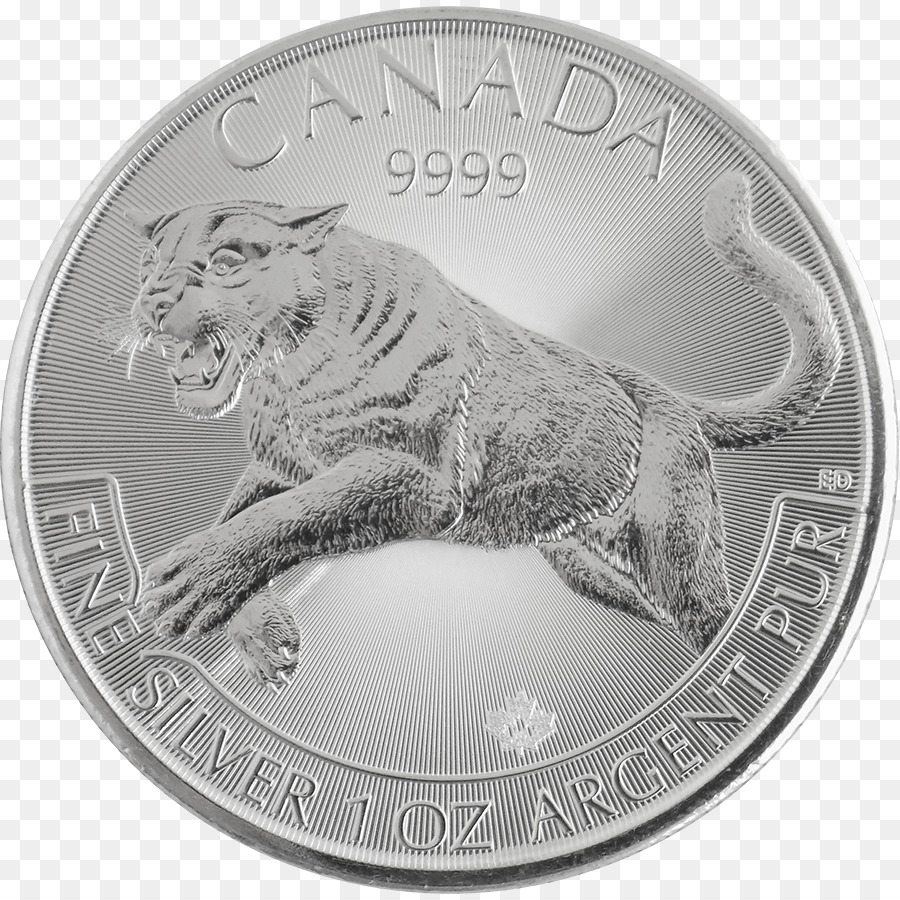 Pièce De Monnaie，Argent PNG