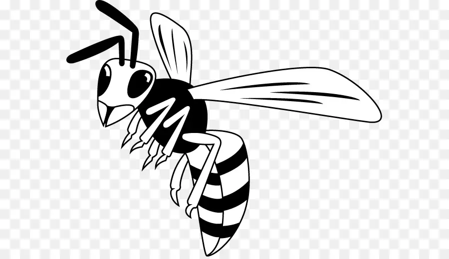 Abeille，Miel PNG