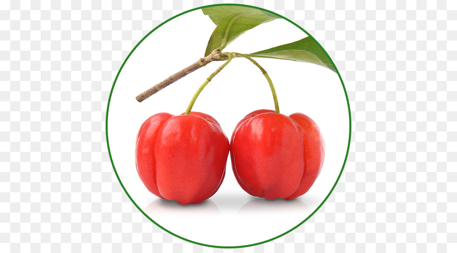 La Barbade Cerises，La Vitamine PNG