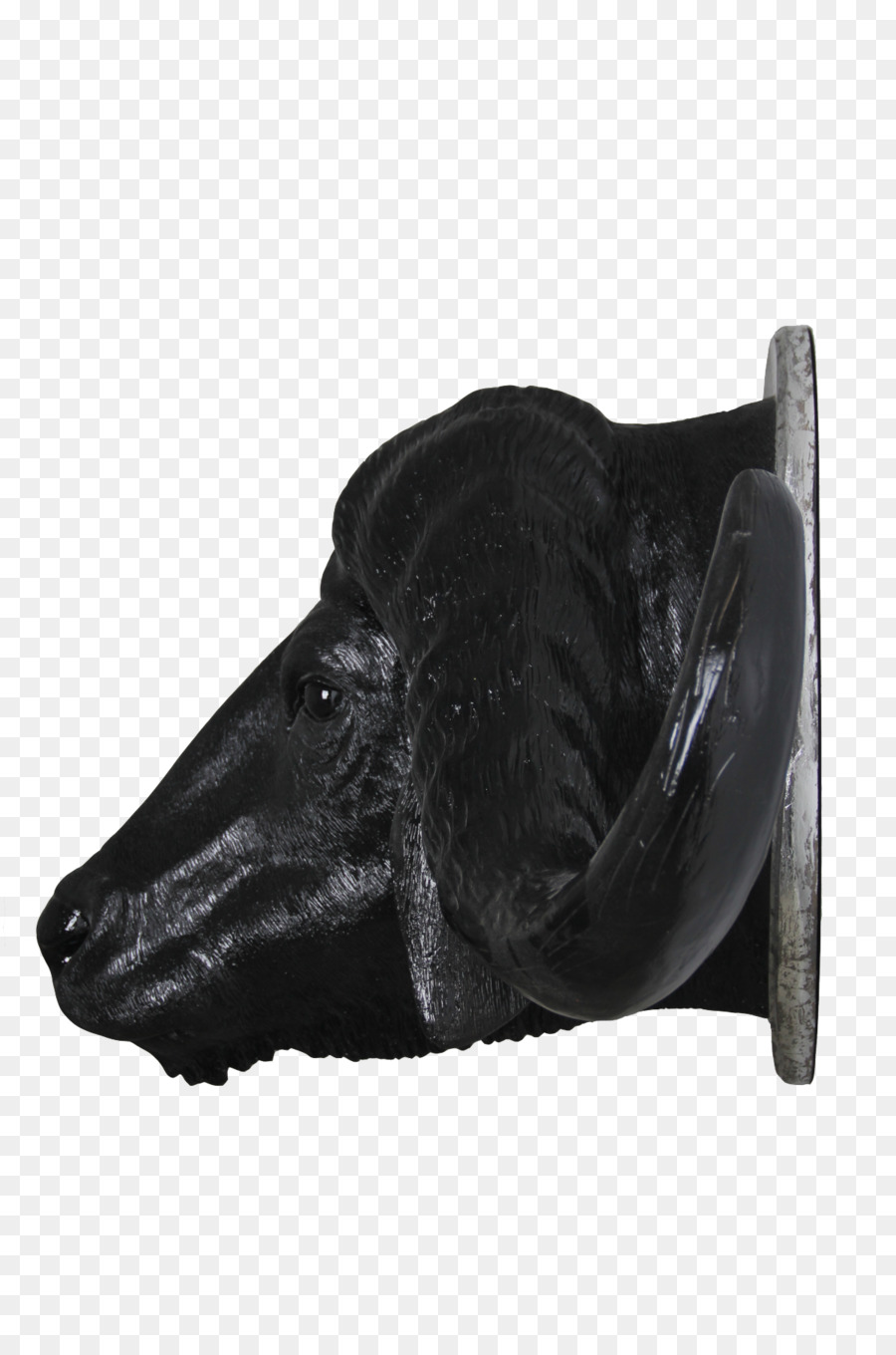 Chaussure，Museau PNG