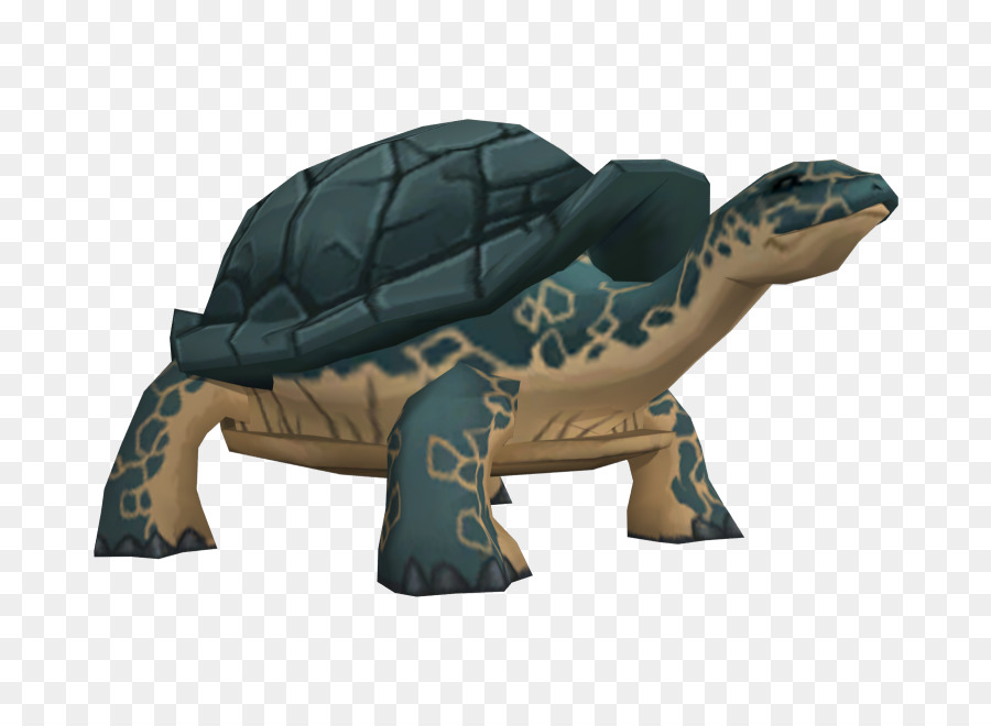 Tortue，Reptile PNG