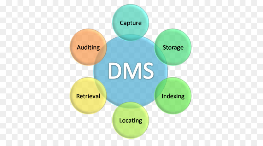 Diagramme Dms，Sgd PNG