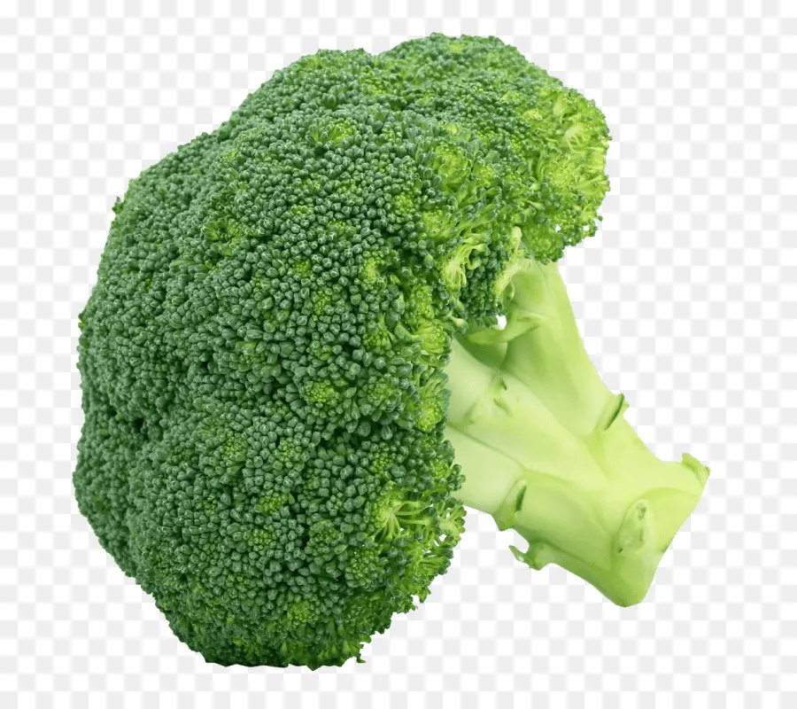 Brocoli，Vert PNG