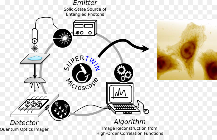 Microscope Optique，Microscope PNG