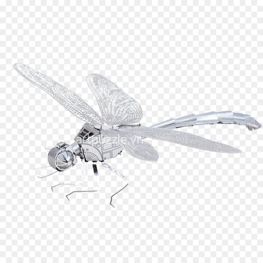 Libellule，Les Insectes PNG