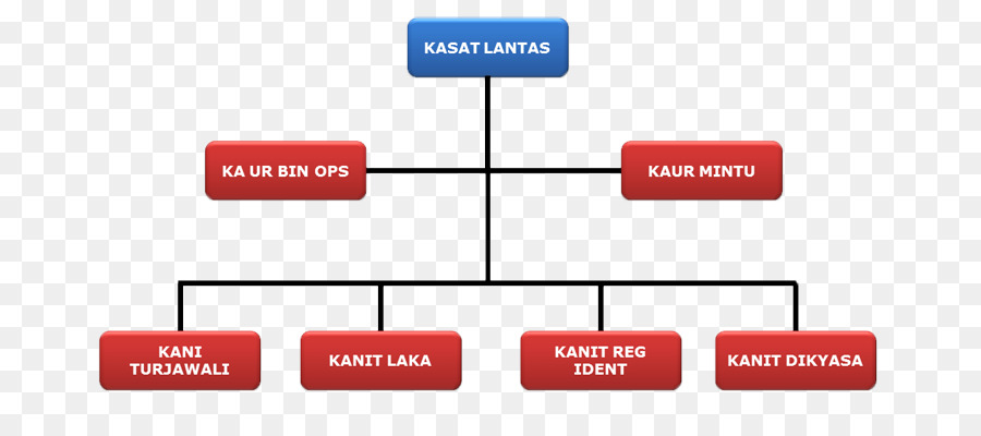 Organigramme，Structure PNG