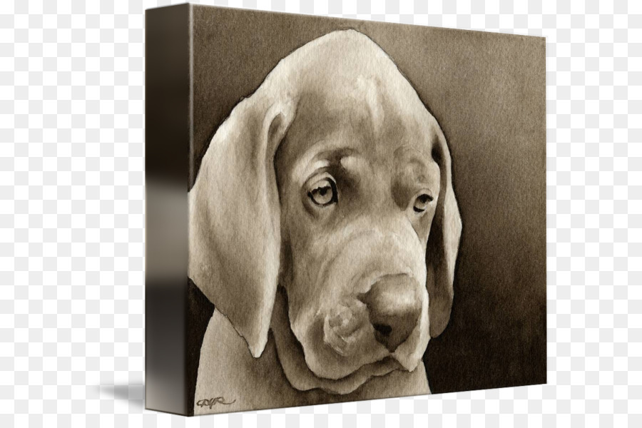 Portrait De Chien，Animal De Compagnie PNG