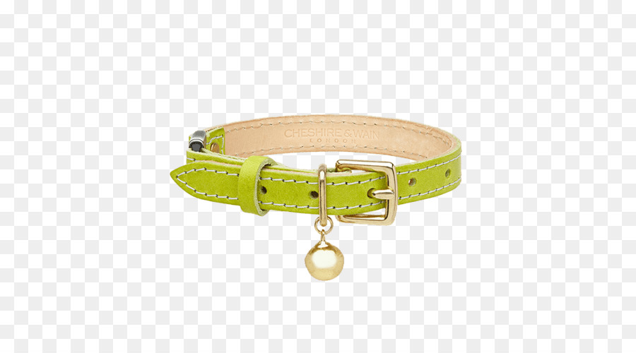 Chat，Collier PNG