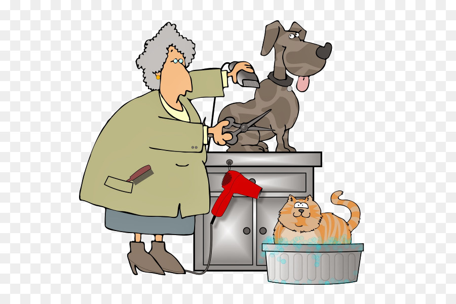 Toilettage D'animaux，Chien PNG