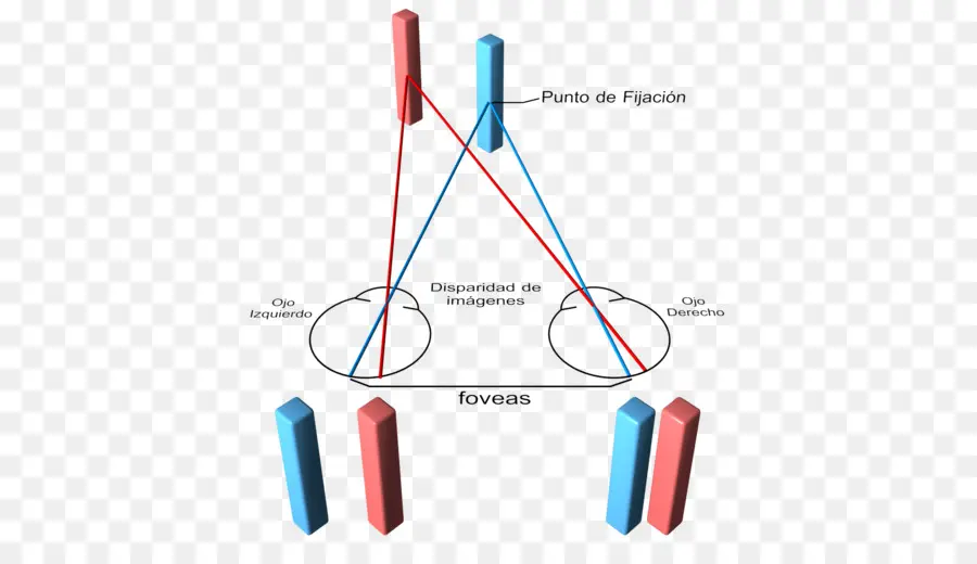 Diagramme De Vision，Yeux PNG