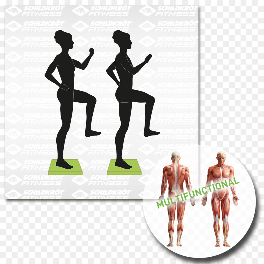 De La Condition Physique，Balance Board PNG