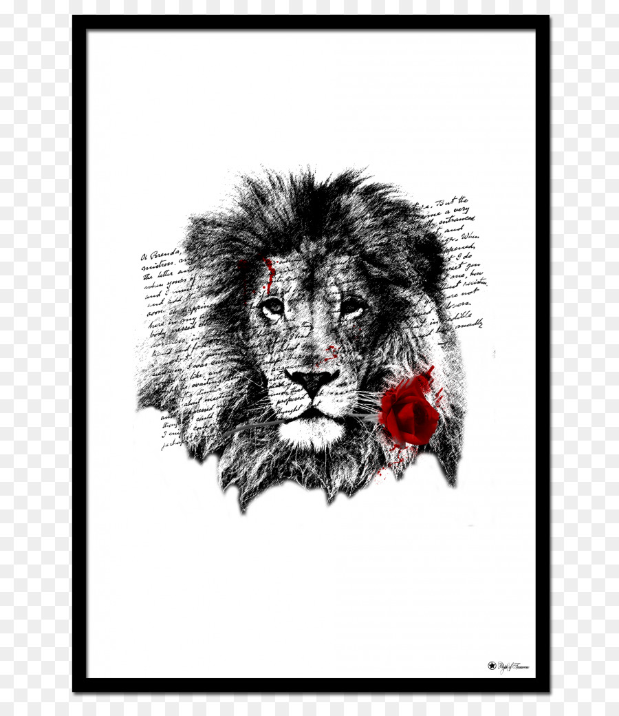 Tshirt，Lion PNG