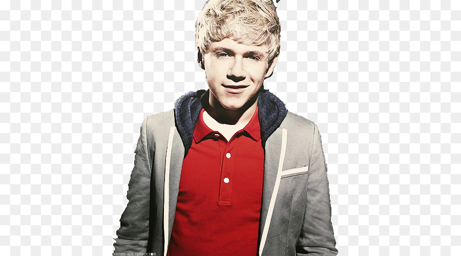 Niall Horan，Facteur X PNG