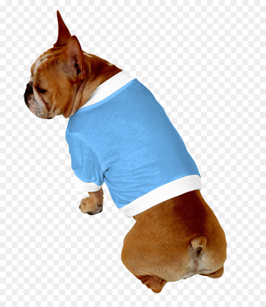 Race De Chien Chiot Boxeur Png Race De Chien Chiot Boxeur Transparentes Png Gratuit