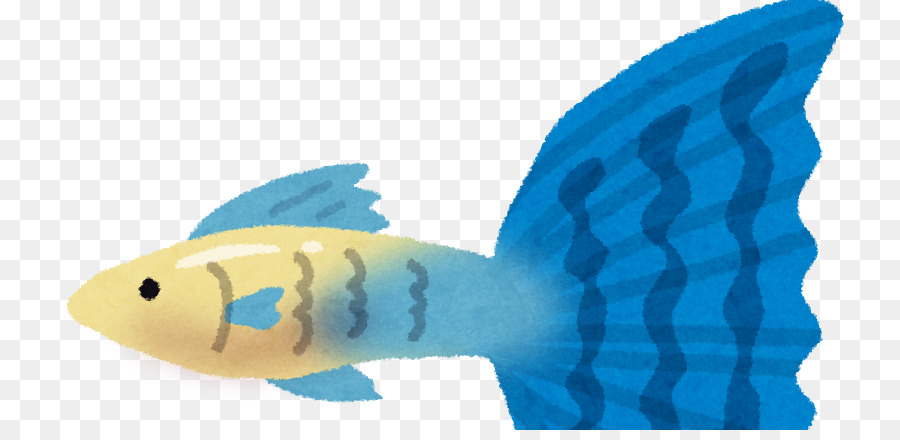 Poisson，Bleu PNG