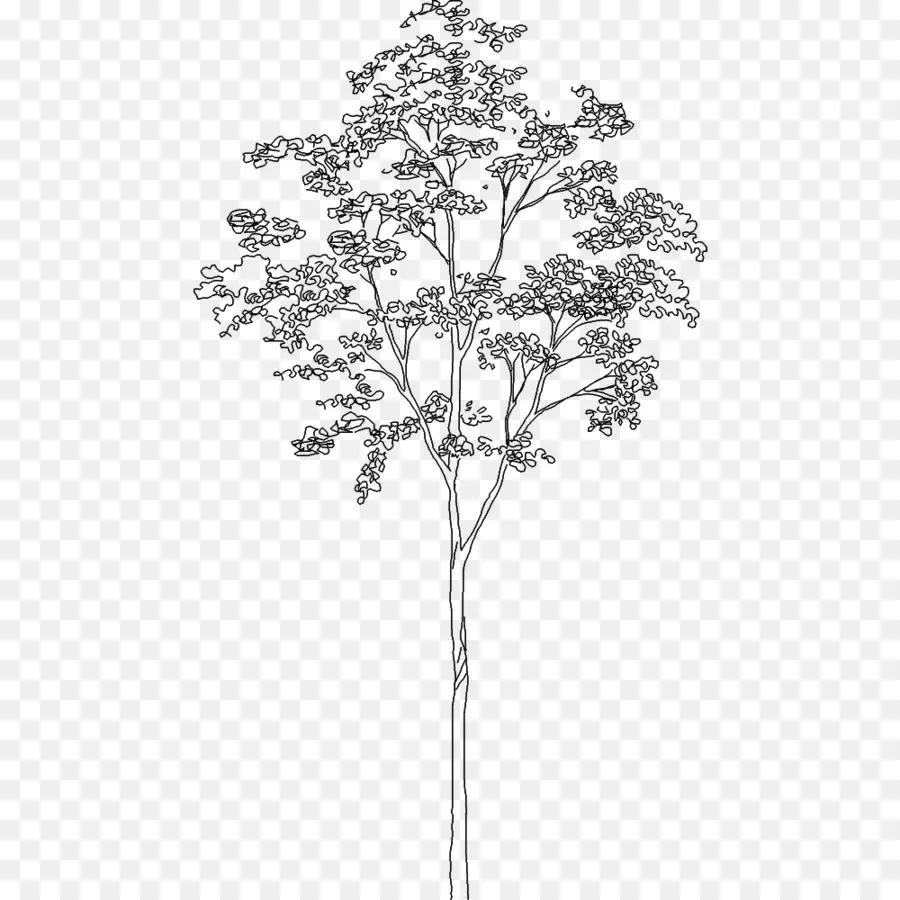 Arbre，Usine PNG