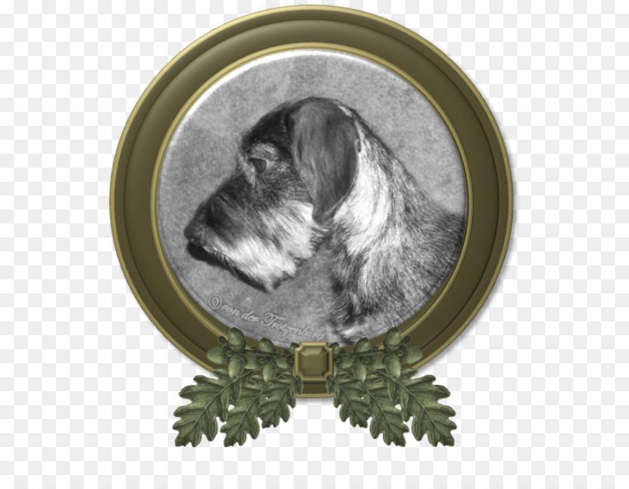 Schnauzer Nain，Schnoodle PNG