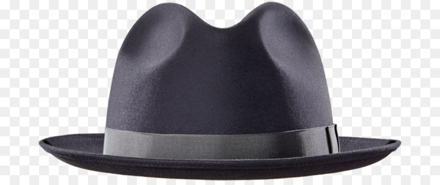 Fedora， PNG