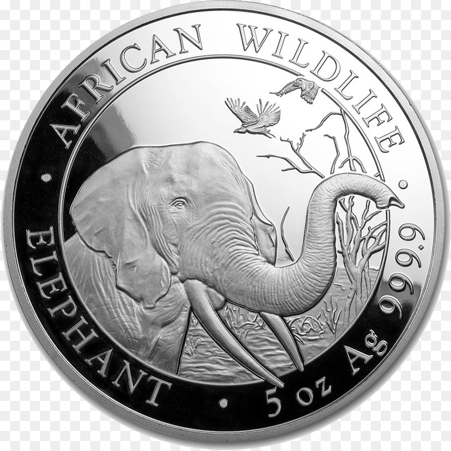 La Somalie，L éléphant D Afrique PNG