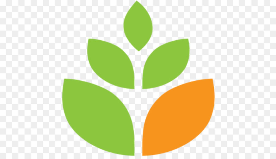 Plante Verte，Feuille PNG