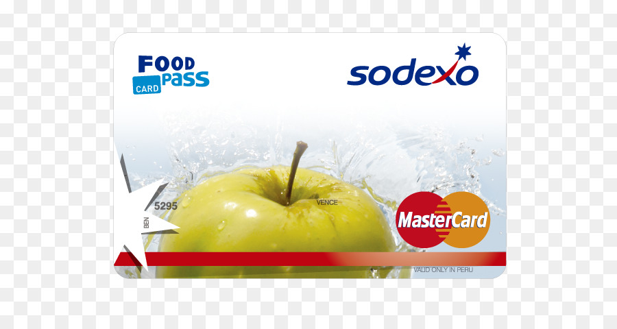 Sodexo，Visual Logiciel Systems Ltd PNG