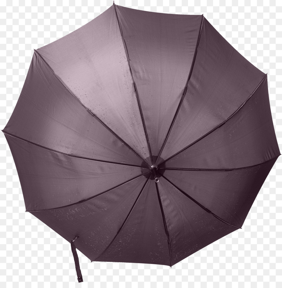 Parapluie Violet，Pluie PNG