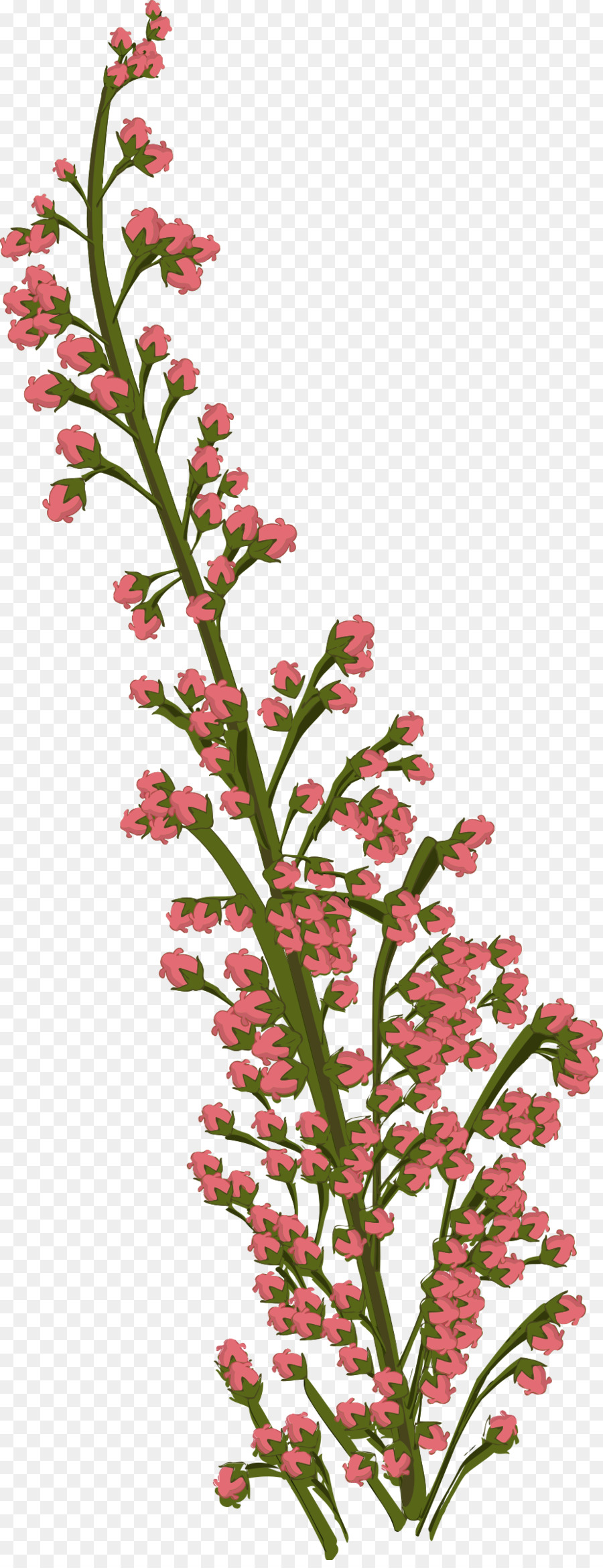 Dessin Fleurs Tropicales Les Fleurs Coupées Png Dessin