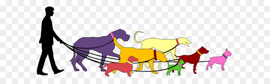 Promeneur De Chiens，Animaux De Compagnie PNG