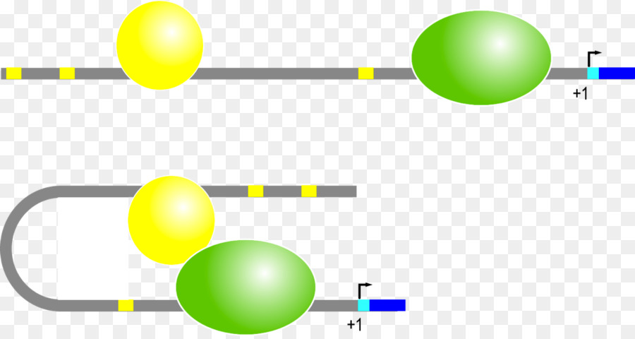 Ligne，Point PNG