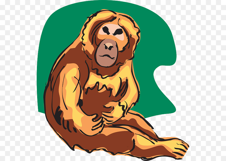 Lion，Chimpanzé Commun PNG