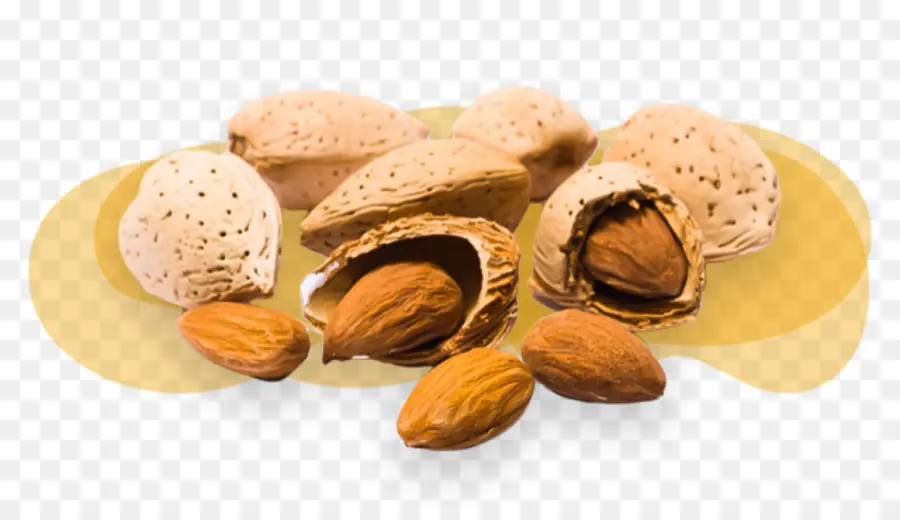 Amandes，Noix PNG