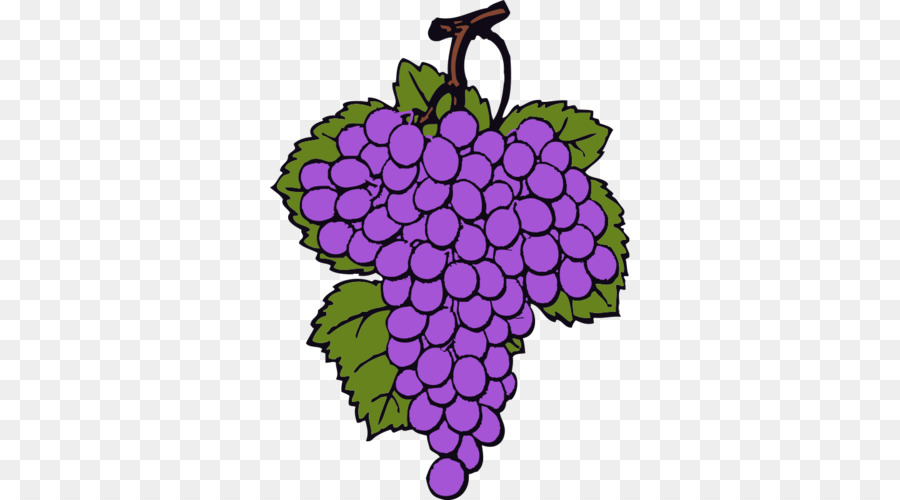 Raisins Violets，Fruit PNG