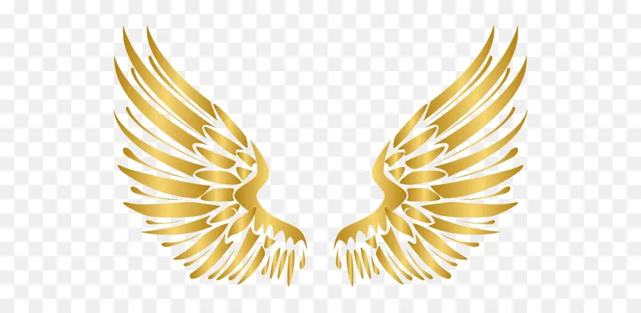 Ailes D'or，Plumes PNG