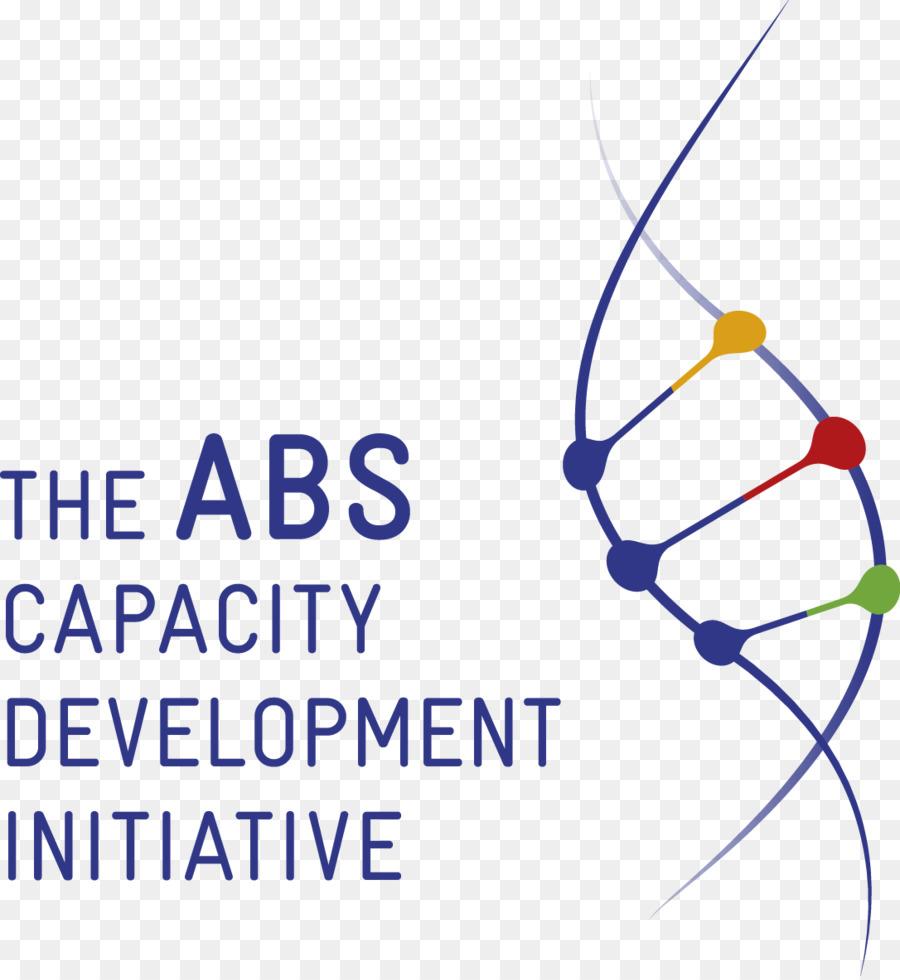 Initiative De Développement Des Capacités Apa，Développement PNG