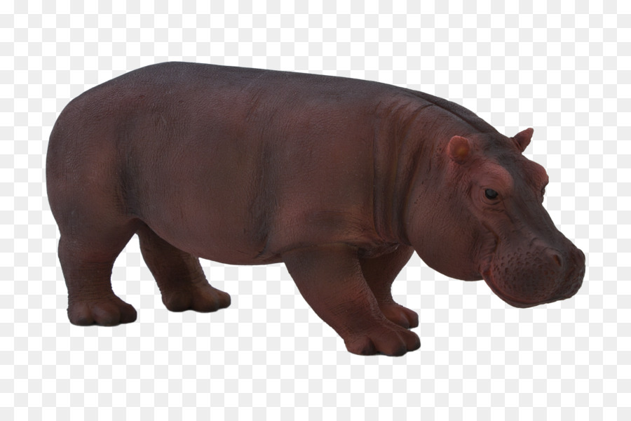 Hippopotame，Dromadaire PNG