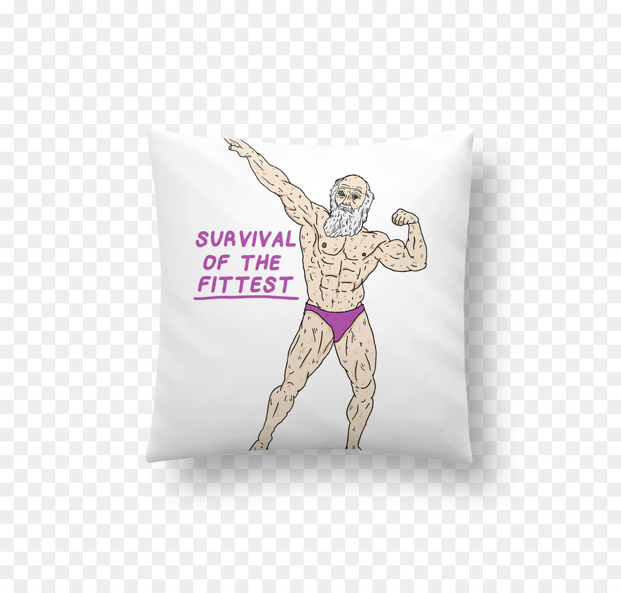 Coussin，Les Coussins PNG