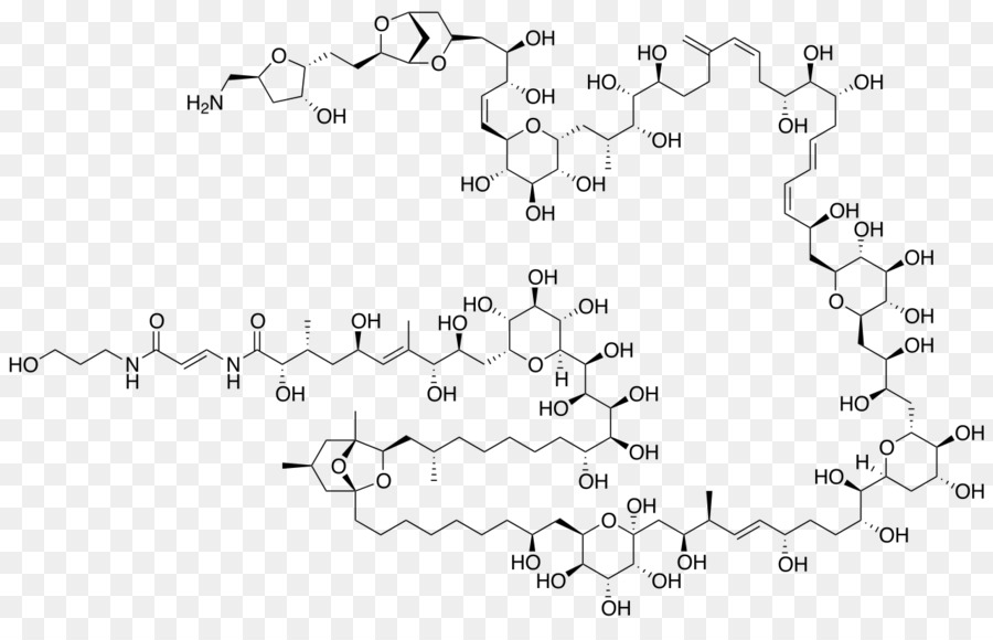 Structure Chimique，Molécule PNG