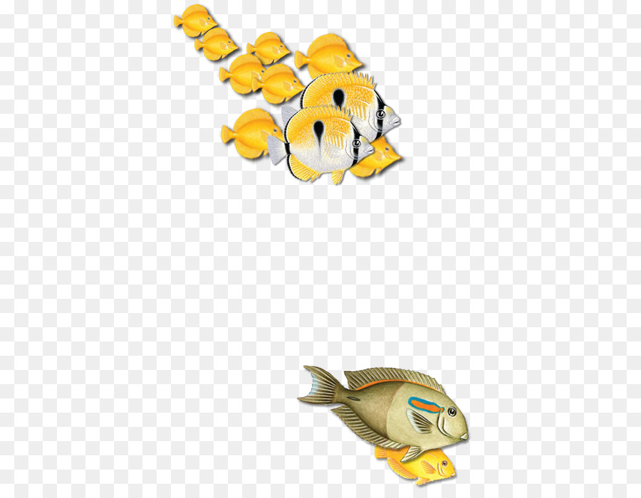 Les Poissons，Animal PNG