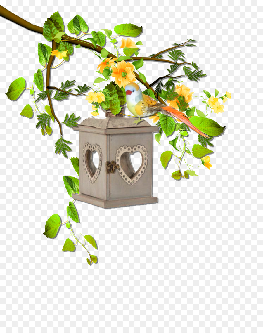 Flowerpot，Fleur PNG