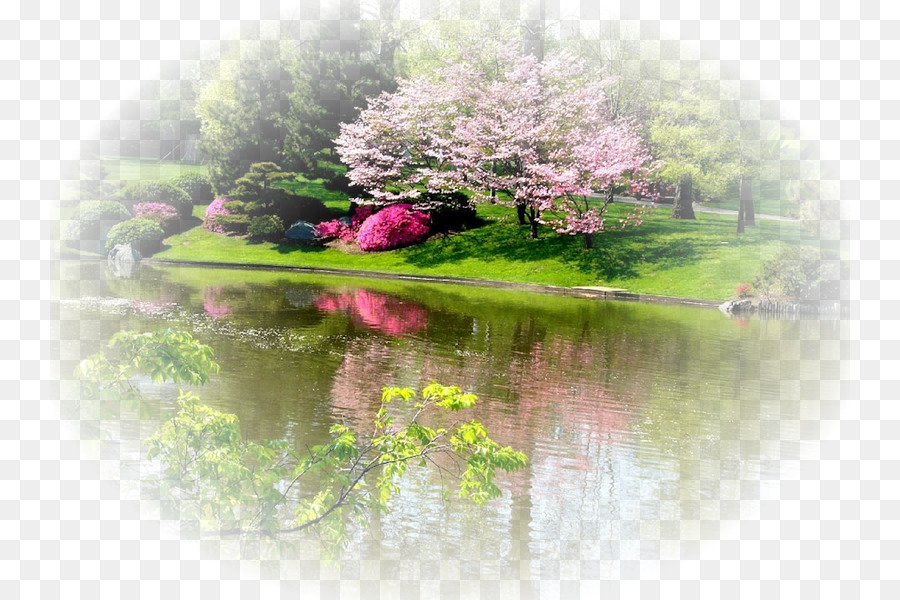 Jardin De Printemps，Fleurs PNG