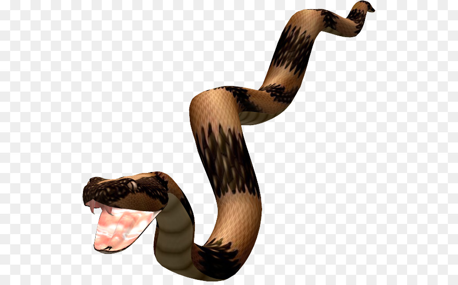 Les Serpents，Animal PNG