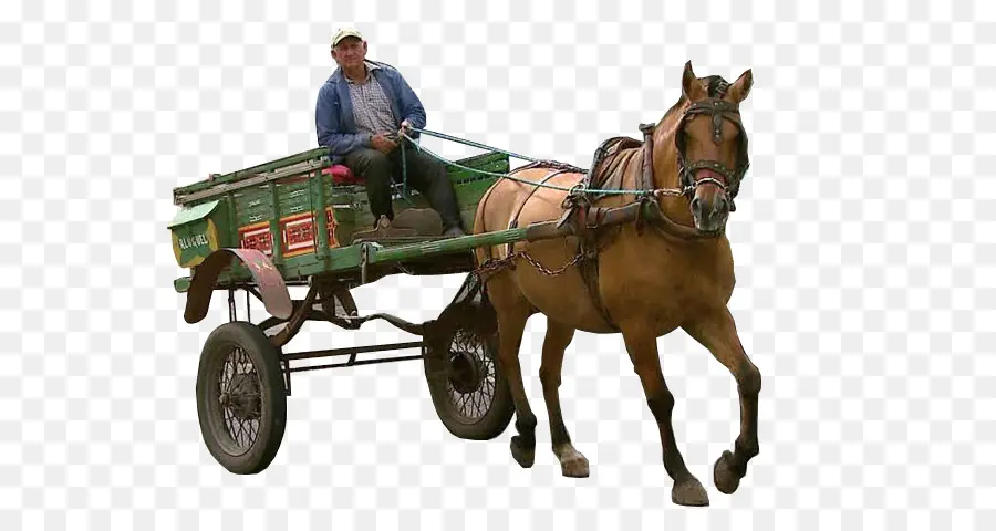 Chariot à Chevaux，Cheval PNG