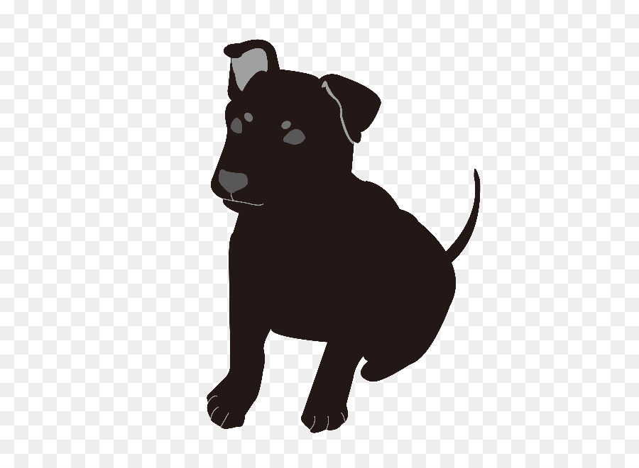 Labrador Retriever，Chiot PNG