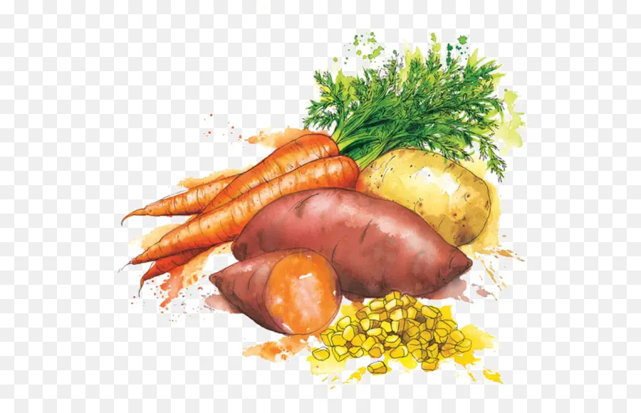 Légumes，Carotte PNG