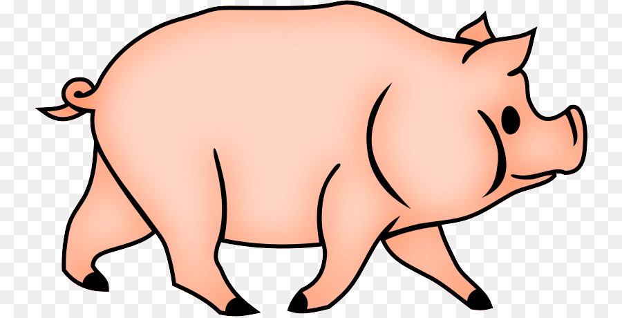 De Porcs Domestiques，Cochon PNG