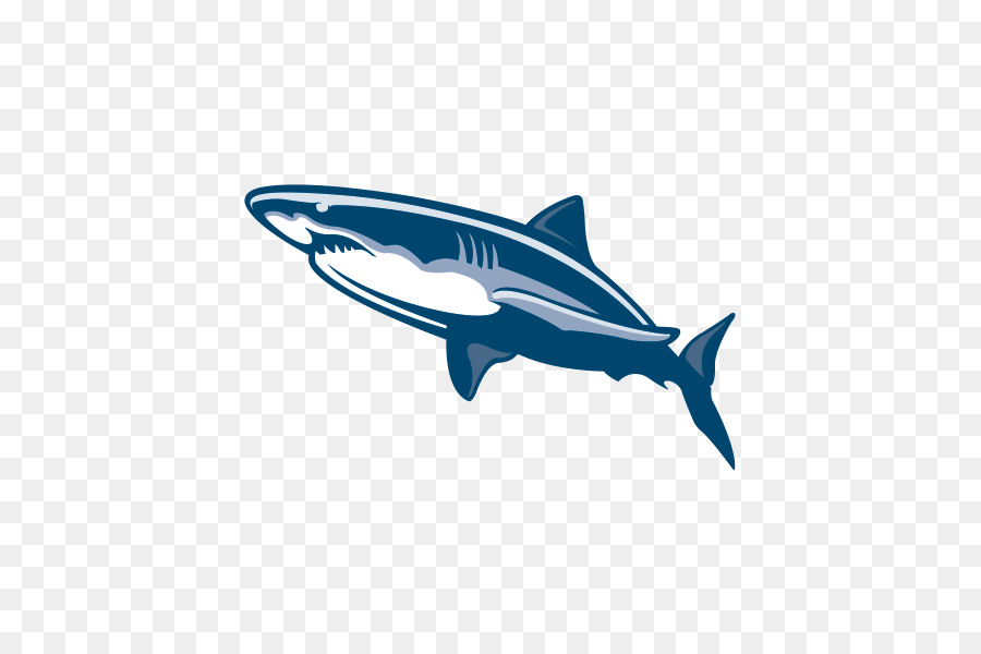 Requin Dessin Grand Requin Blanc Png Requin Dessin Grand Requin Blanc Transparentes Png Gratuit