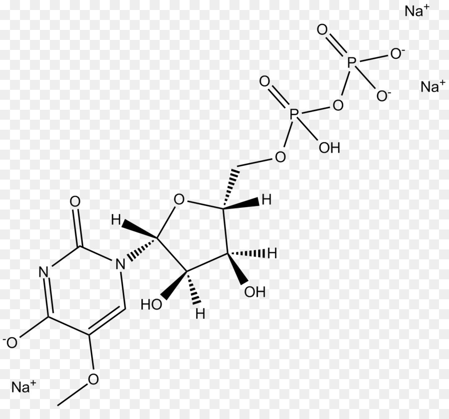 Structure Chimique，Molécule PNG